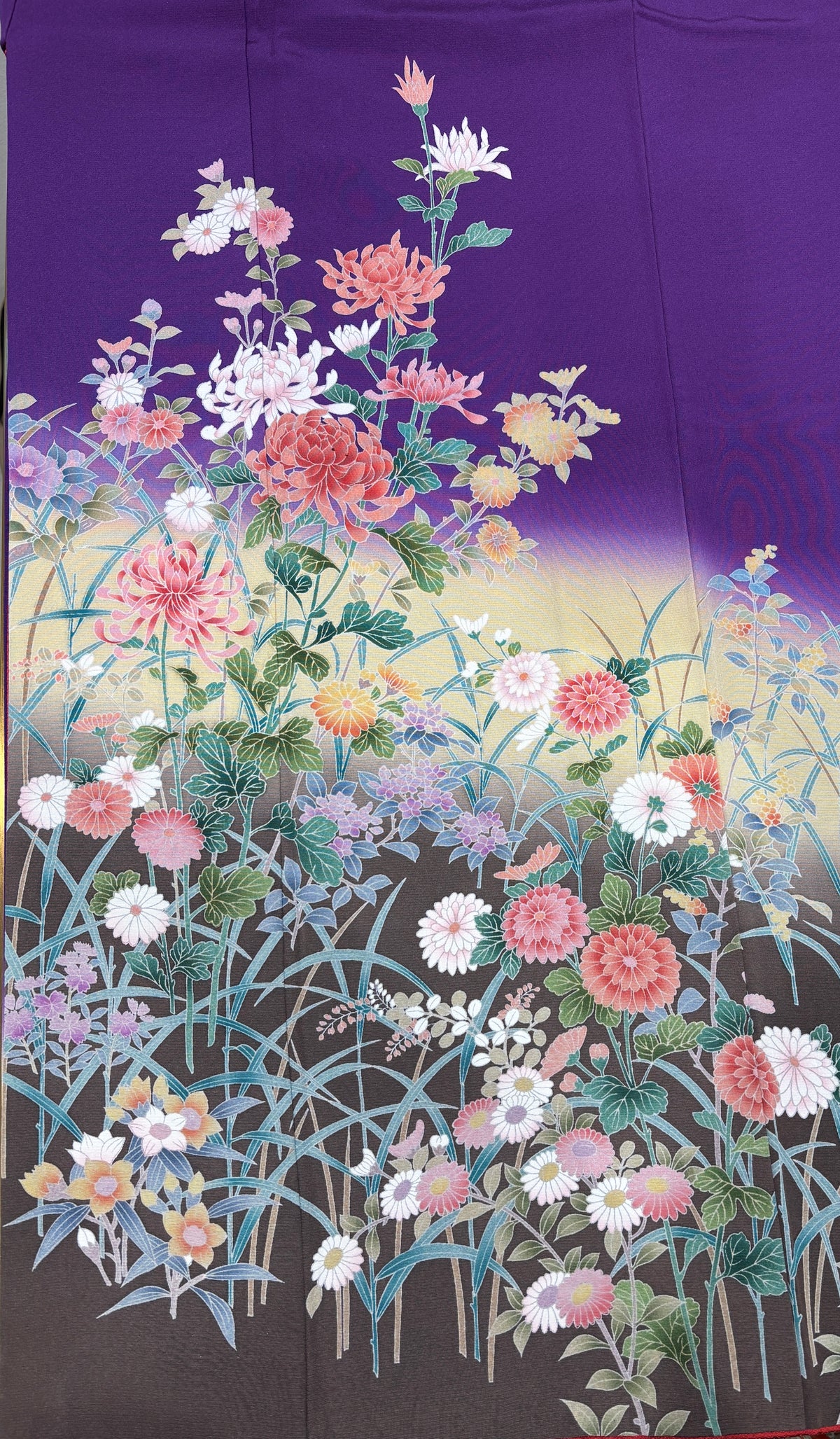 紫　菊　萩　染め分け　ぼかし［4570191716555］