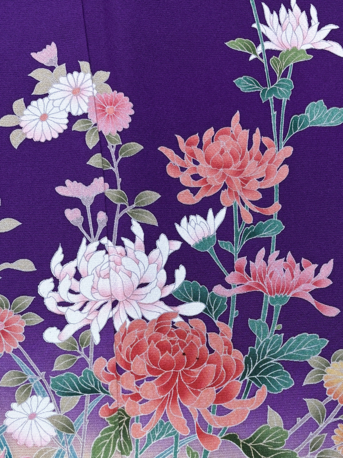 紫　菊　萩　染め分け　ぼかし［4570191716555］
