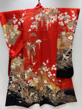 Load image into Gallery viewer, 赤　菊　蝶　金彩 ［4570191715800］
