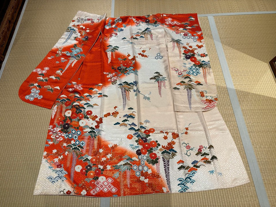 赤、白、藤、菊、花、金駒 [4570191653294]